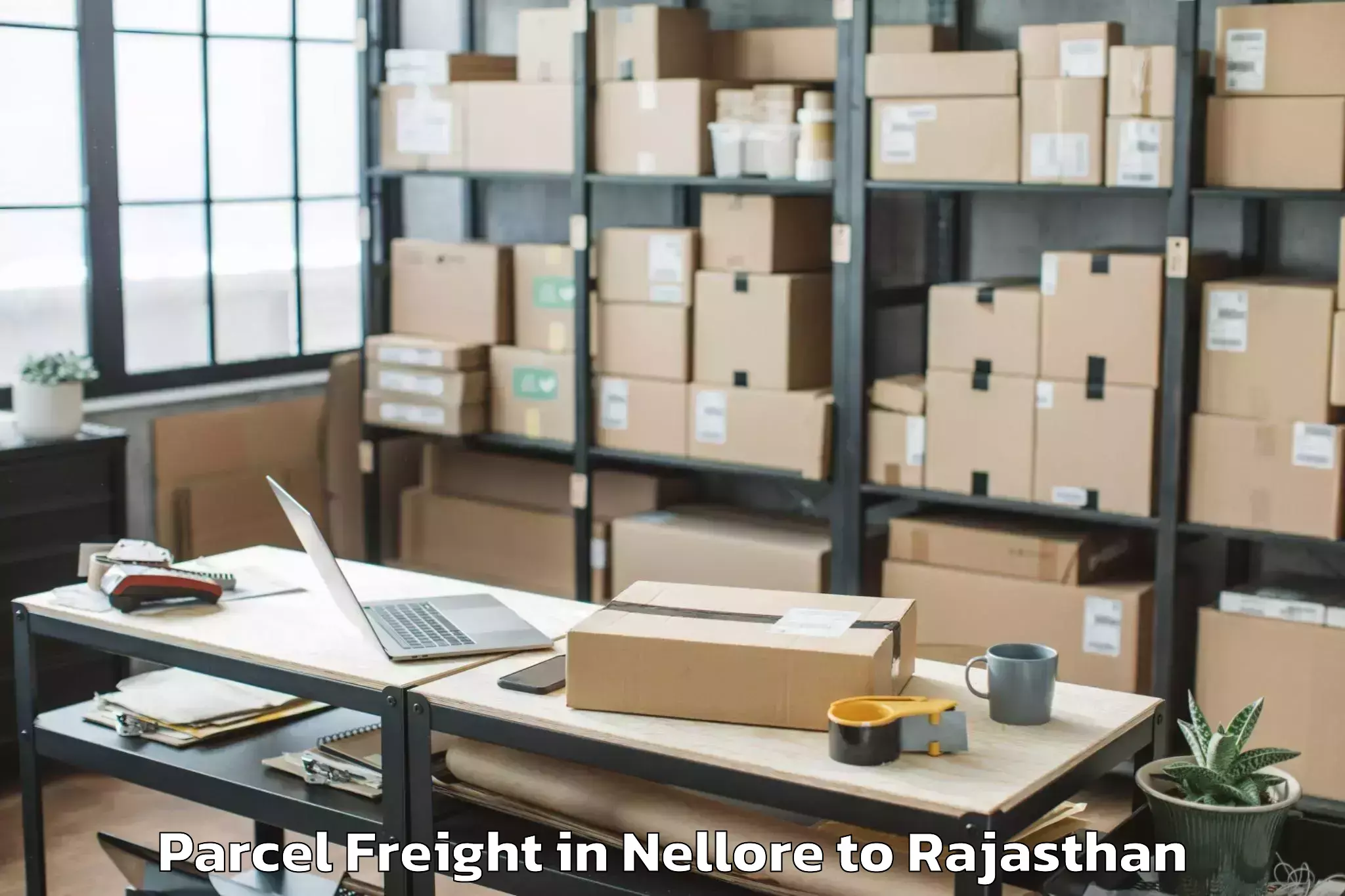 Book Nellore to Rajgarh Rajasthan Parcel Freight Online